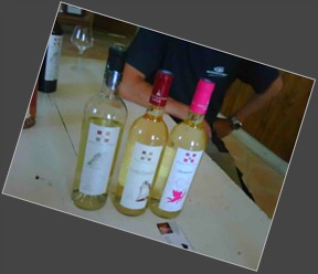 3_wines