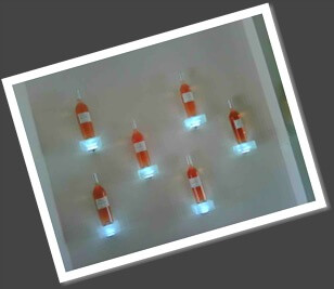 remn_showroom