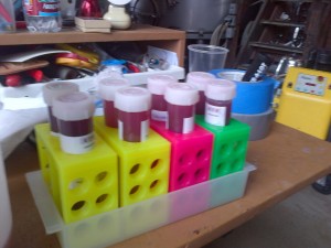 lab