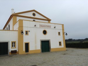 cax