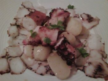 octopus