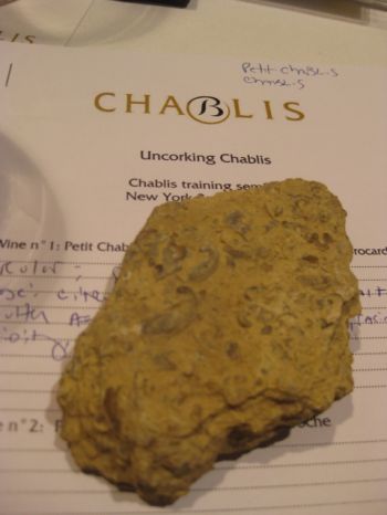 Kimmeridgian on Tasting note