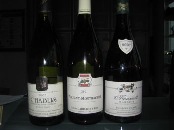 white burgundy tasting
