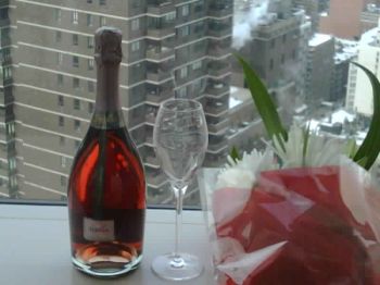 elyssia pinot noir