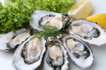 oyster