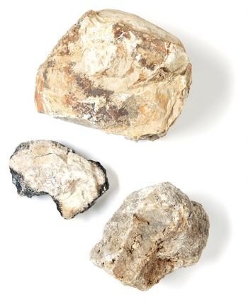 rocks
