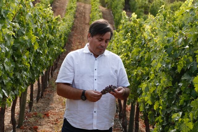 Winemaker Marcelo Garcia in Carmenere Vines