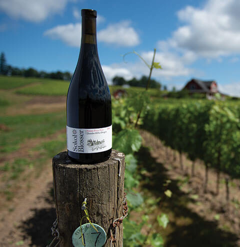 Willamette Pinot Noir vineyard
