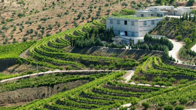 Casa Ferreirinha Winery