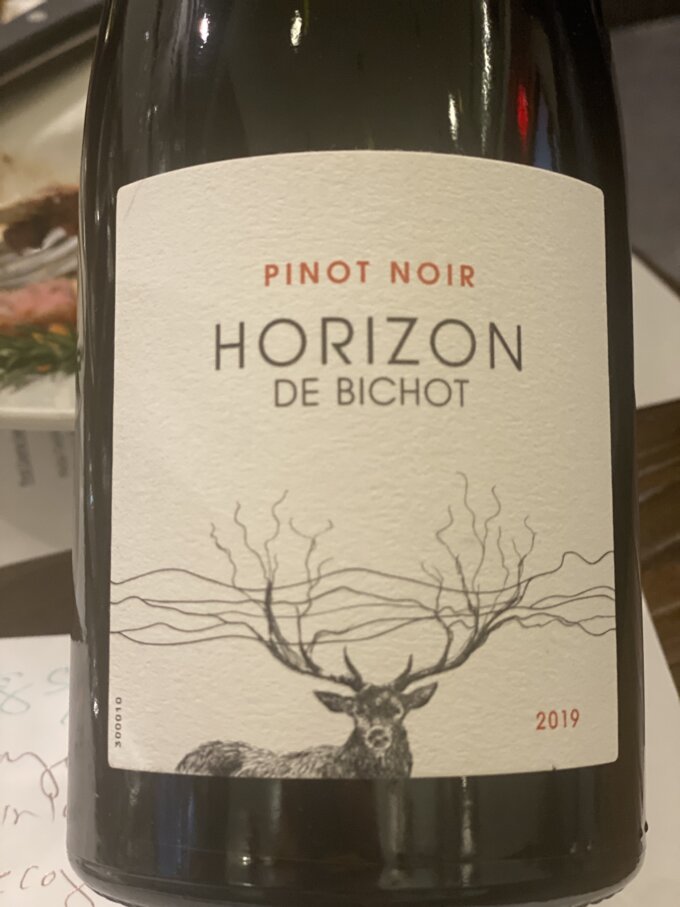Horizon de Bichot Pinot Noir 2019